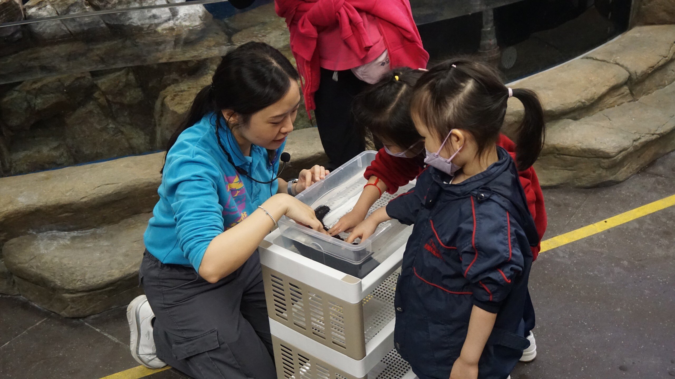 「六五環境日」— 園內活動報名 (只適用於幼稚園) [第二輪報名]